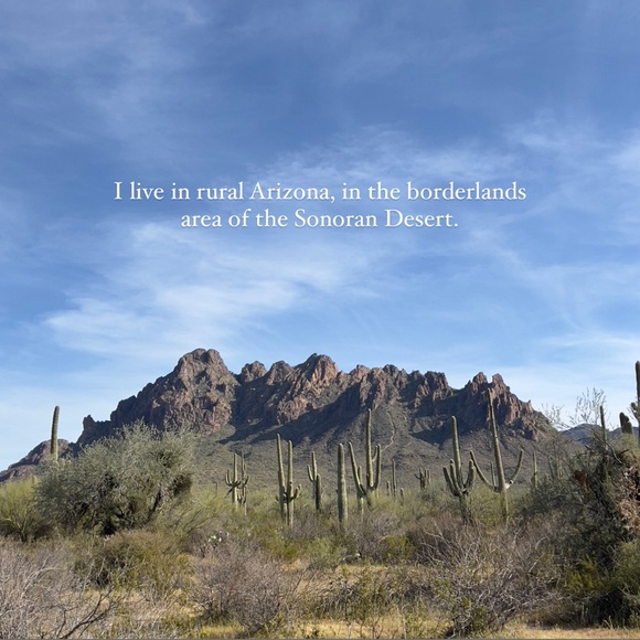 Meet your Posh Ambassador - Picture 3 of 10